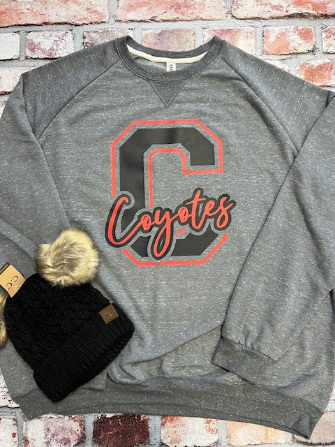 C is for Coyotes