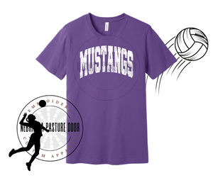 Mustangs Retro